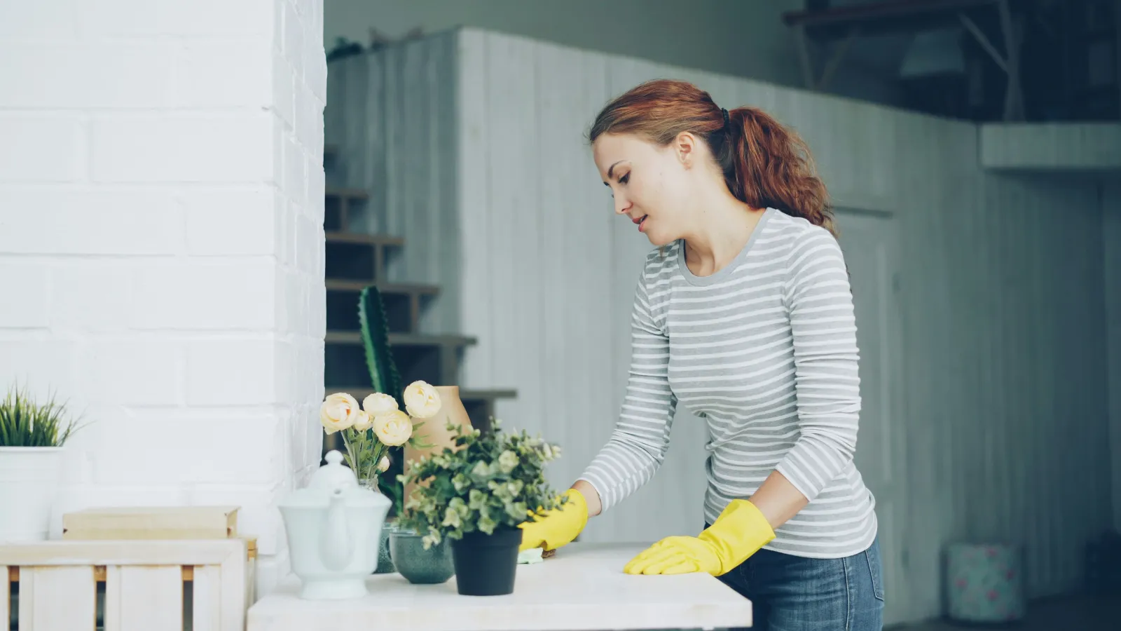 Cleaning Products