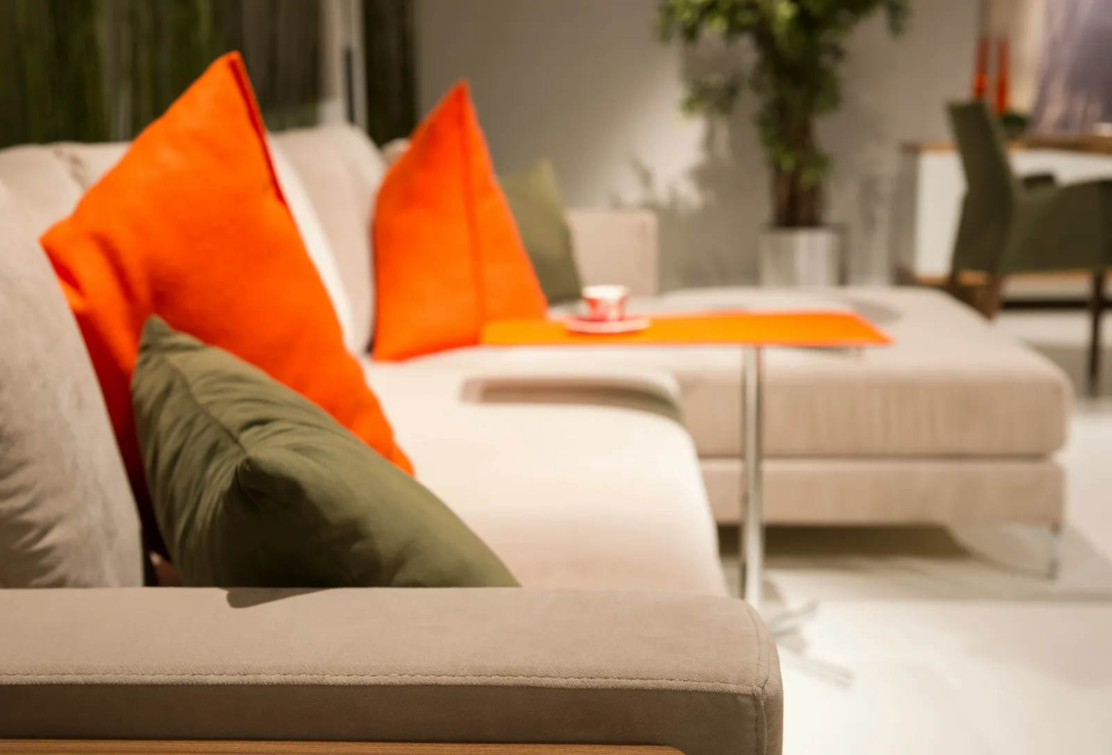 Upholstery Cleaning